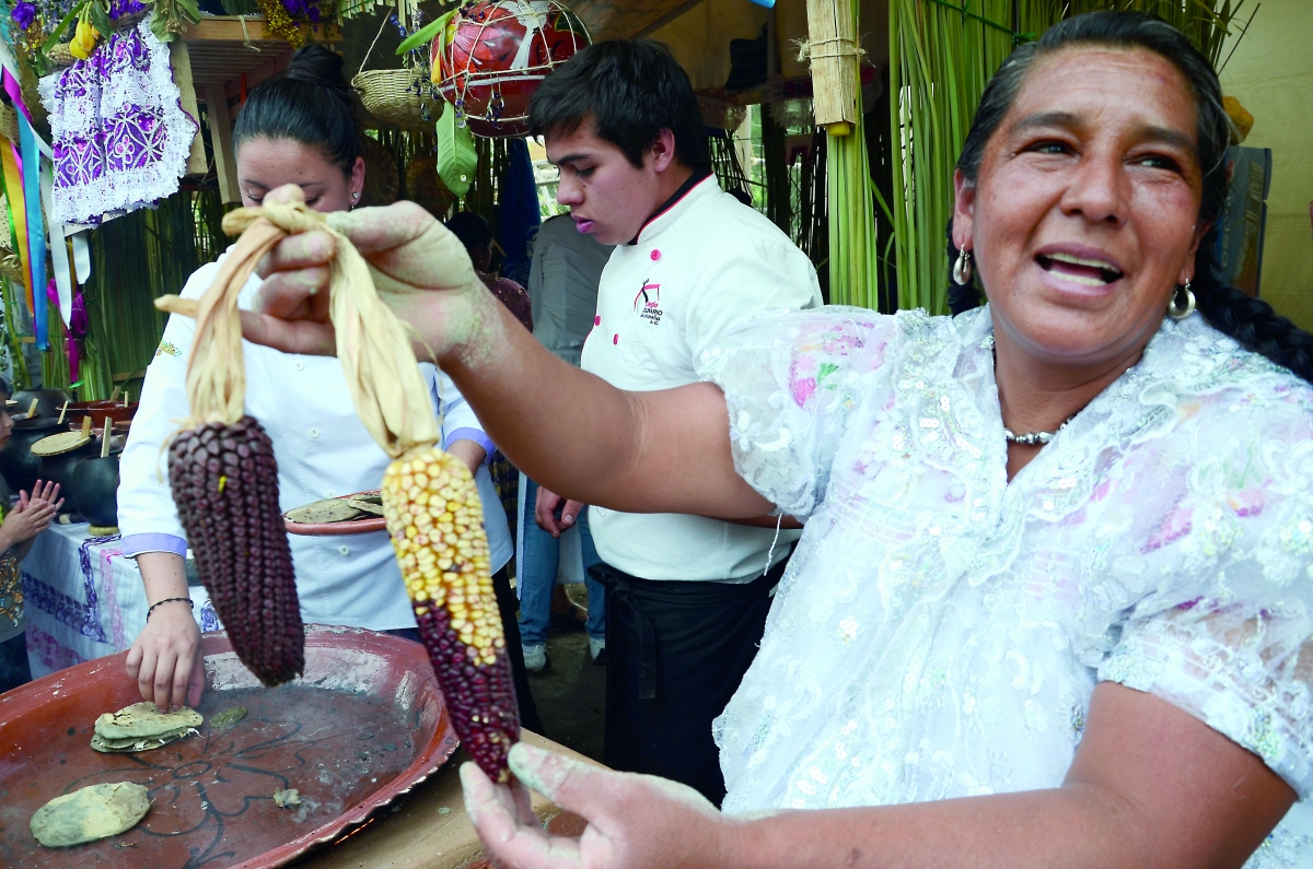 Hijos del maíz, nuestro grano, nuestra milpa 0