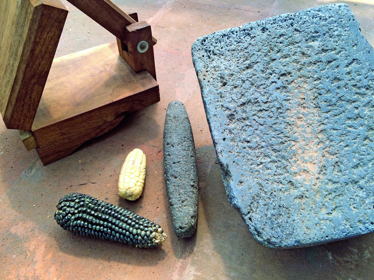 Hijos del maíz, nuestro grano, nuestra milpa 1